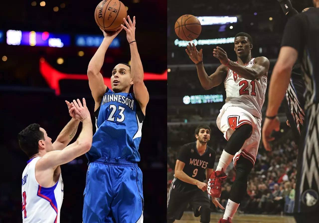 植物光合作 植物光合作