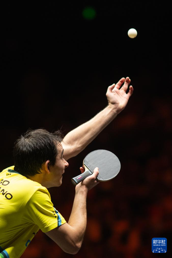 都有着极为 都有着极为