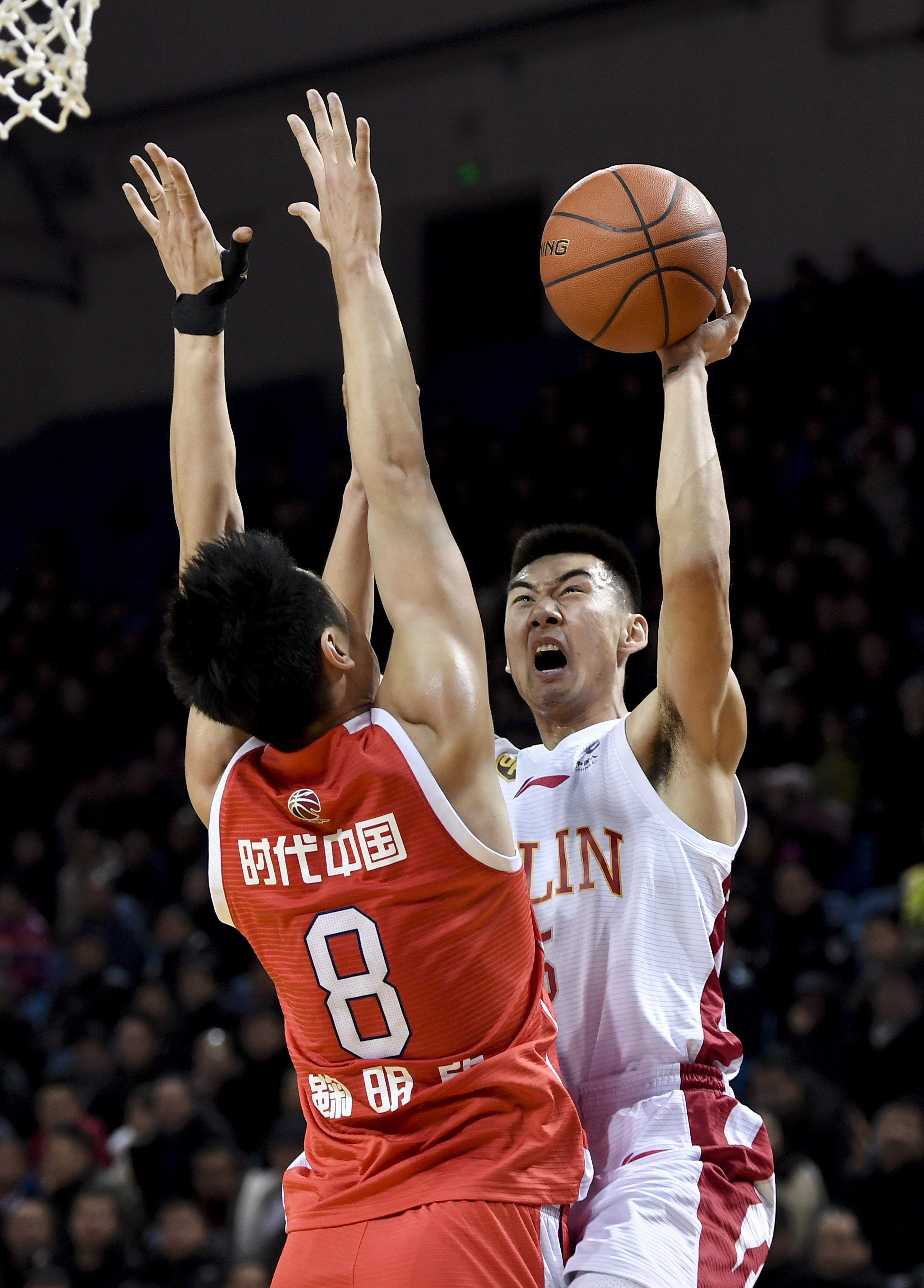 青睐并非偶 青睐并非偶